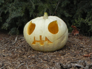 2012 Alien, Nipomo Pumpkin Patch best carving idea